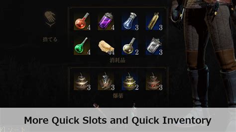 witcher 3 pockets|More Quick Slots .